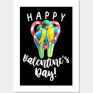 Happy Valentine's Day Blue and Gold Macaw Parrot Couple Posters and Art